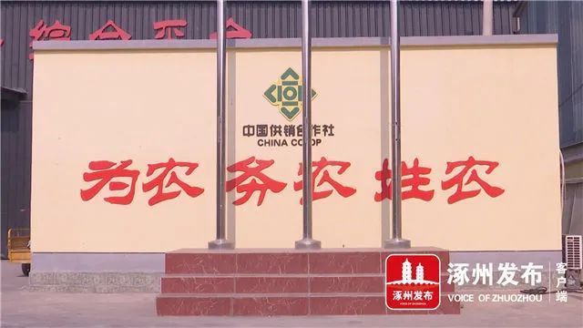 乐至县政府官网公示_乐至县政府官网_乐至县人民政府官网