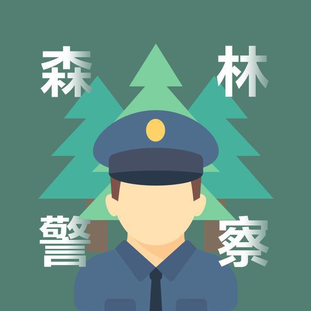 wdfmgrexe local service-wdfmgrexelocalservice：电脑背后的默默守护者，你了解多少？