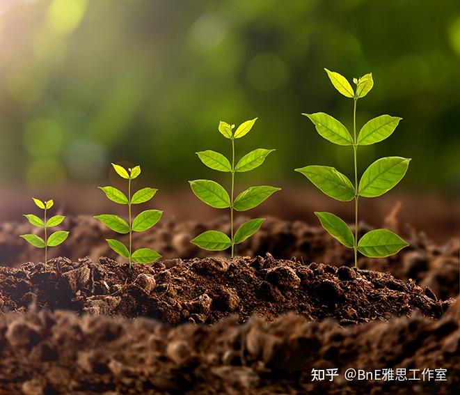 ecosystem and ecology-探索自然小秘密：生态系统的绿色奇迹与脆弱平衡