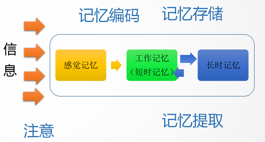 雨林xp sp3 序列号-雨林 XPSP3 序列号：承载年少时光的神奇代码，让电脑瞬间复活