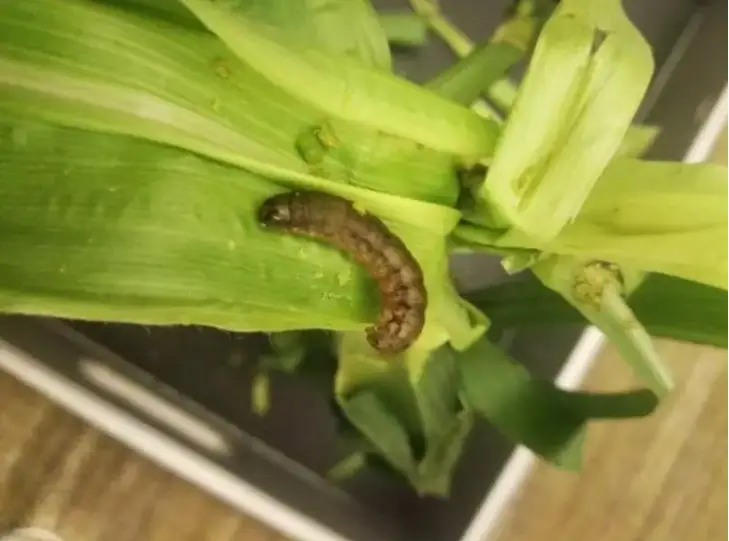 身份证号对应城市_证对应身份城市号怎么填_身份证号码对应城市