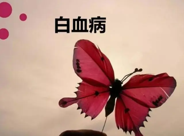 证号码身份部分分为哪几类_证号码身份部分分为哪几种_身份证号码分为几个部分