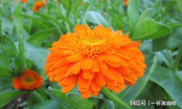 路由器403 forbidden-上网小能手吐槽路由器 403forbidden 问题，关键时刻掉链子让人哭笑不得