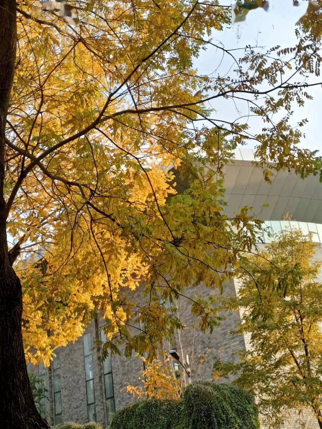 90后身份证号真实姓名_90后身份证号码_90后的身份证号码大全