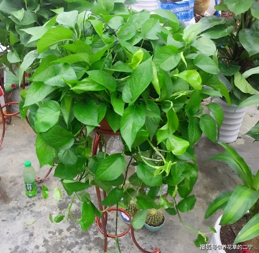 证姓名查身份用什么查询_姓名查身份证件_用身份证查姓名