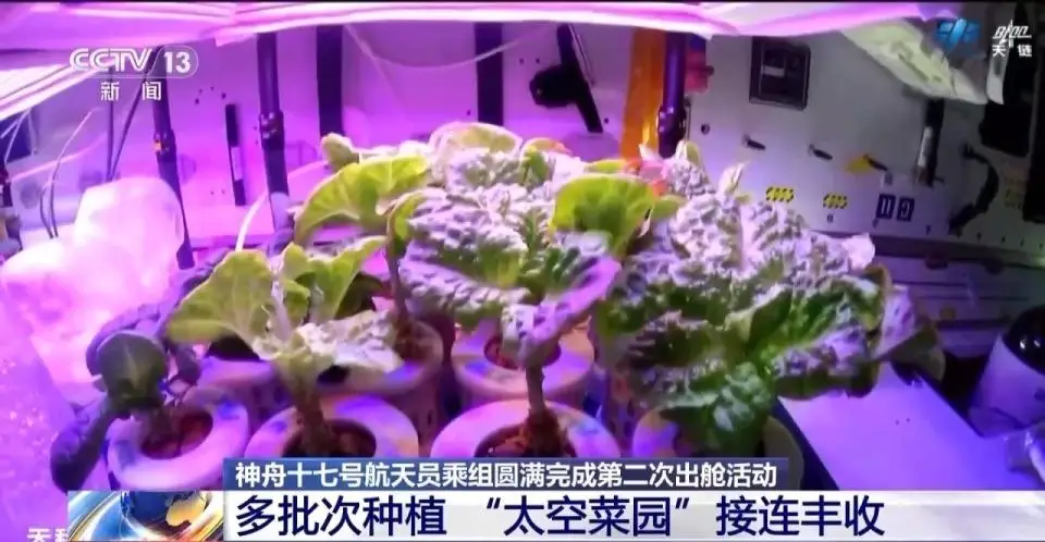 神舟重装系统_神舟电脑重装系统_重装神舟系统教程