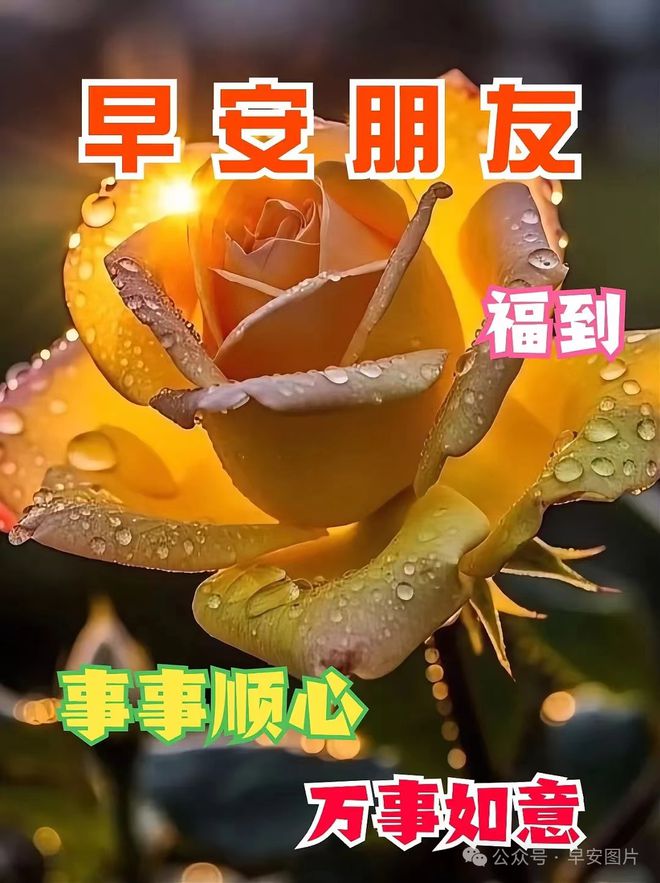沥白洗肺含片_沥白洗肺含片有用吗_沥白洗肺含片官网