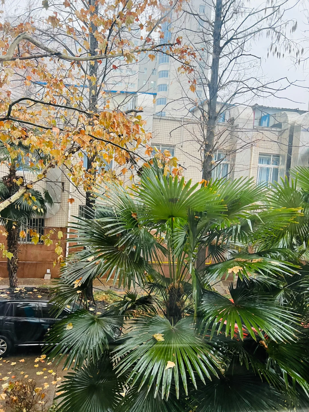 肛瘘手术后多长时间坐浴_肛瘘术后坐浴一次多久_多长手术坐浴肛瘘时间后不疼
