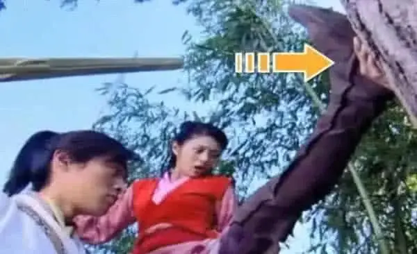 悸花字幕组：用热情与坚持为观众打造更好的观影体验