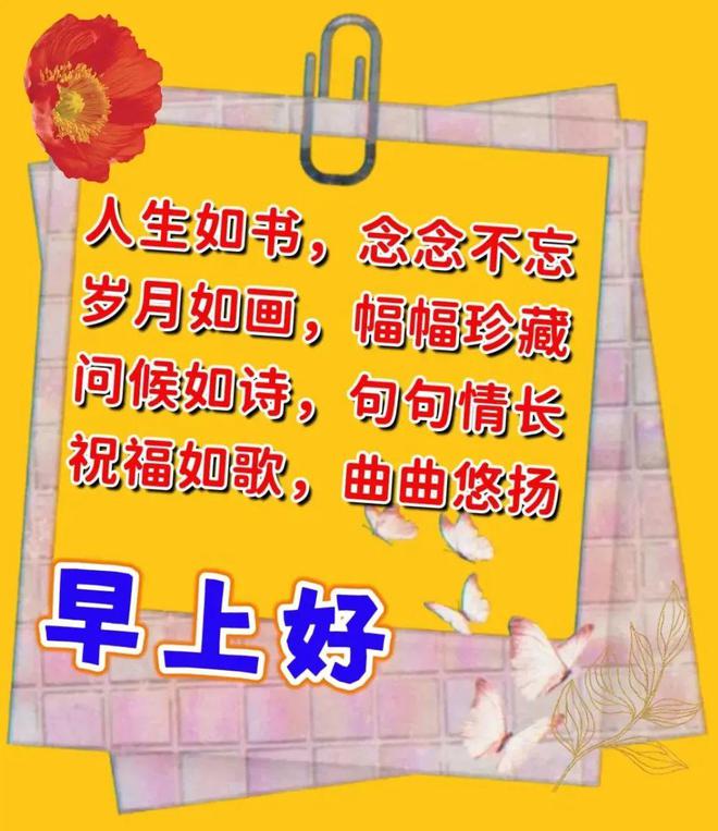 绿色背景图_second_second copy 绿色