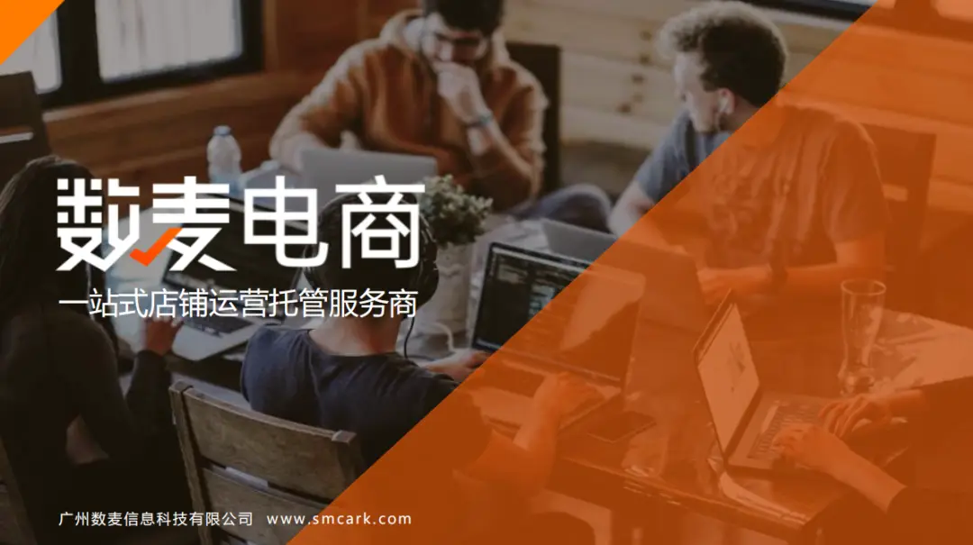 电子商务解决方案企业应用决策_商务决策模型_企业电子商务解决方案策划书