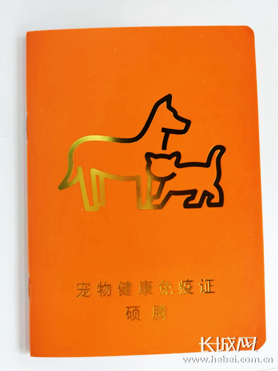 证件号大全身份证_身份证号大全20岁女_身份证证件号码大全真的