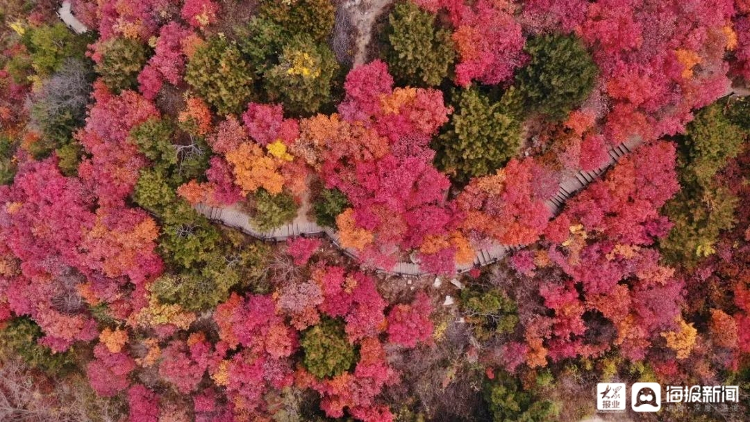 身份证号码对应的地区_身份证号码地址对照表_身份证号对应的地区