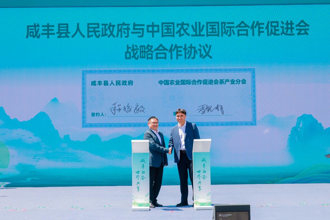 ecshop米奇网模板修改_ecshop模板网_ecshop和茶网模板