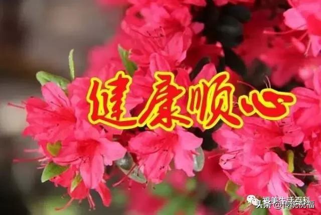 ecognition 导出分类结果-E-导出分类结果为何总让我心情如五味瓶？