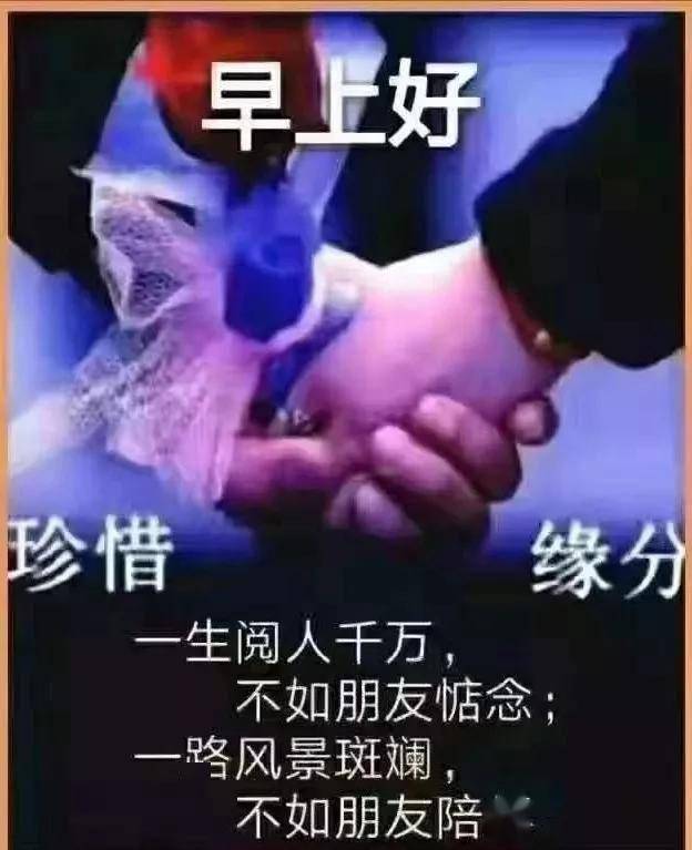 后安粉_后安粉_后安粉