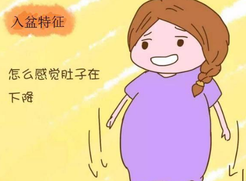 宝宝感冒咳嗽吐了能立马喂奶吗_宝宝感冒咳嗽吐了怎么办_宝宝感冒咳嗽后又拉又吐怎么办