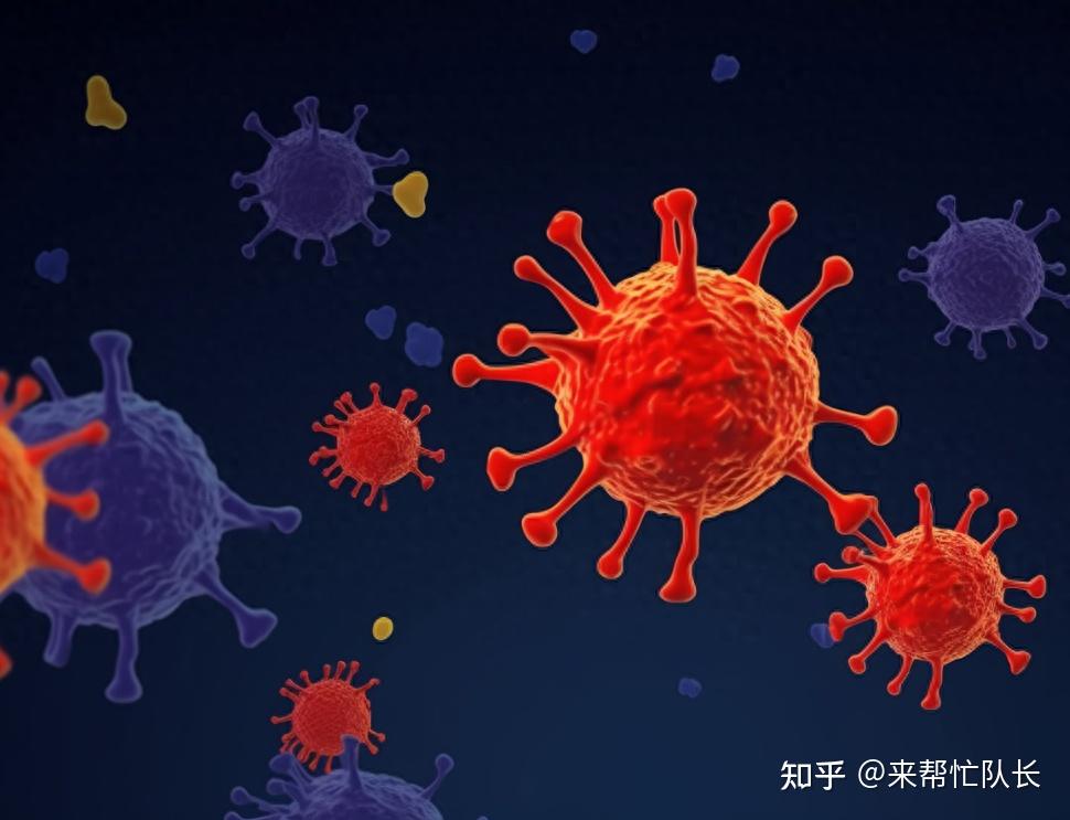呼吸道合胞病毒 图片-呼吸道合胞病毒让人头疼，如何预防和应对？