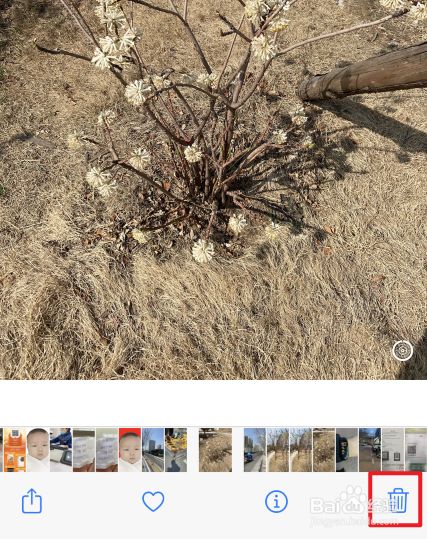 删相片掉苹果手机怎么办_苹果手机相片删不掉_苹果手机删除照片后怎么办