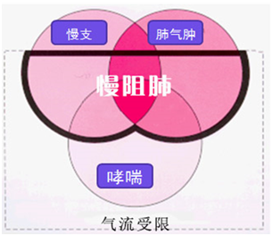 肺气肿的老人双肺感染怎样治疗_老人得了肺气肿后果_老年人肺气肿感染