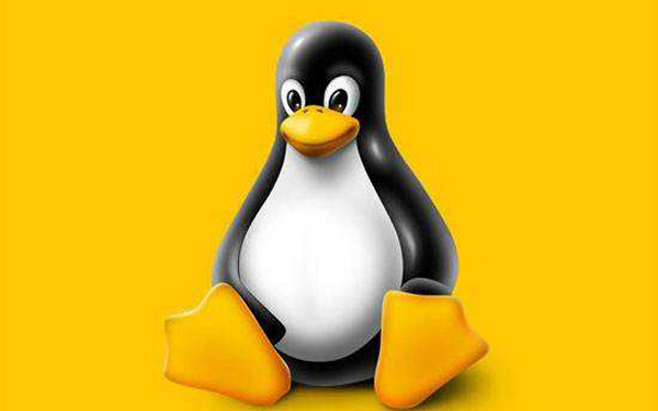 安装linux配置网络_pe安装linux_安装Linux