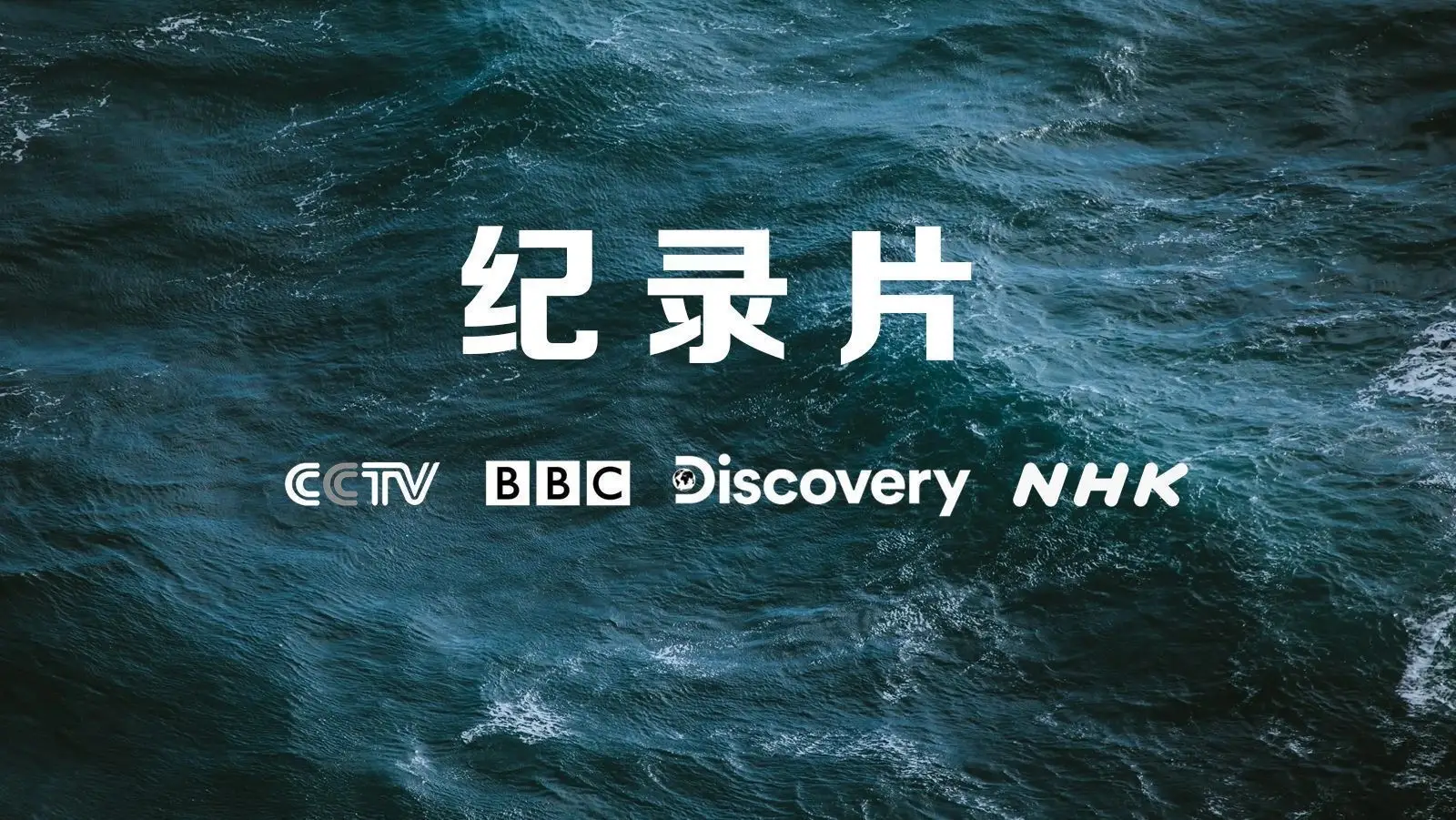 证件法律身份有效包括哪些内容_证件法律身份有效包括哪些_法律有效身份证件包括