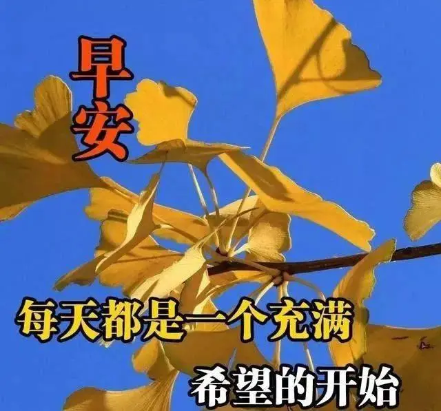 带raid的2024_带raid的2024_带raid的2024