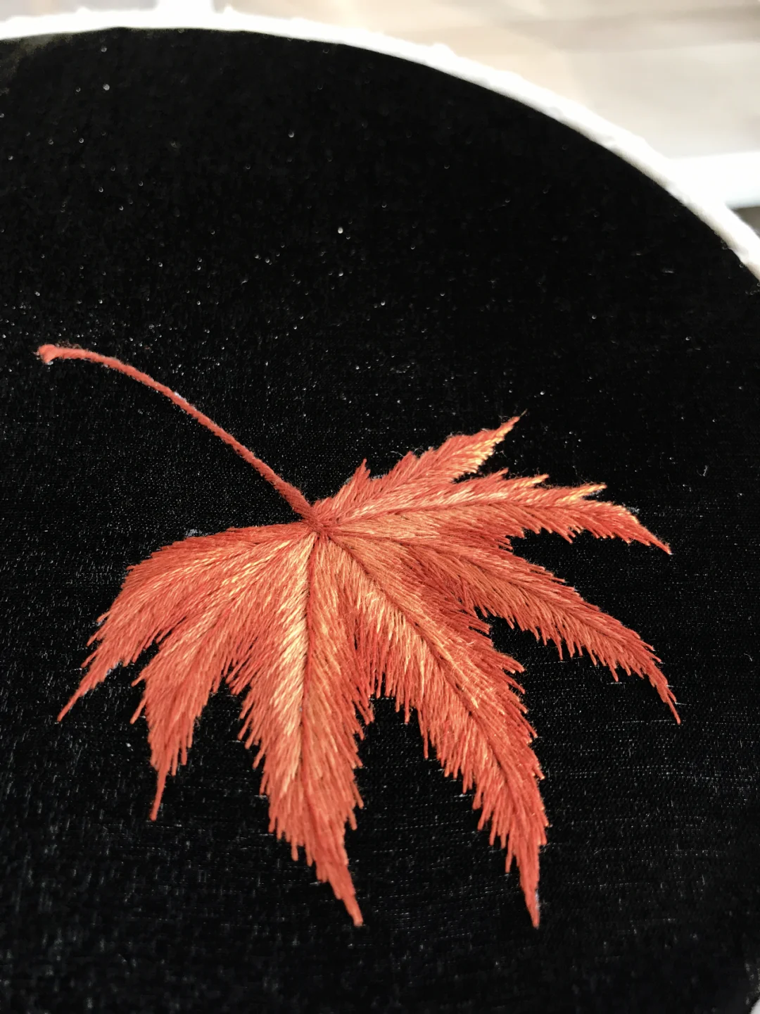 fannal date-枫叶飘落的季节，是时光的日记，也是回忆的乐章