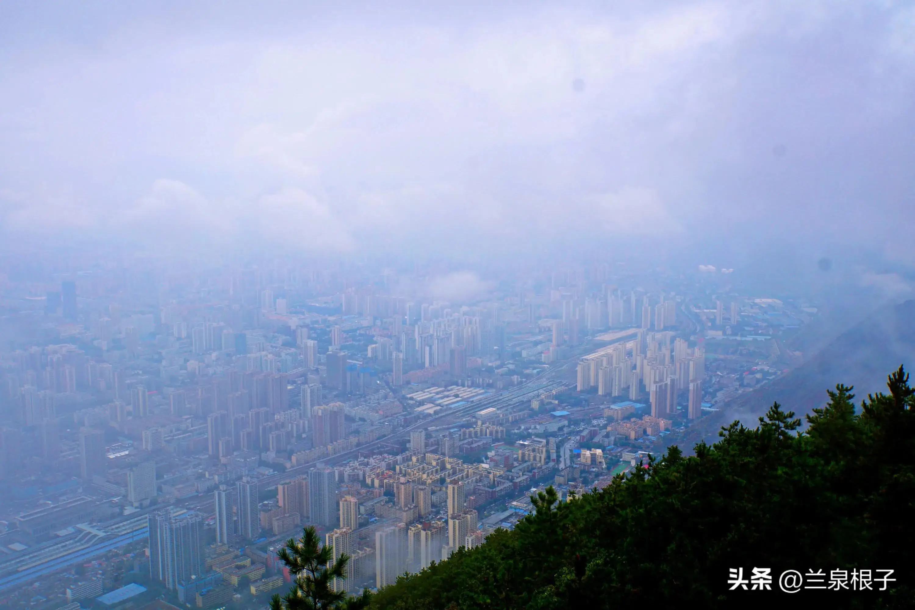 高碑店植物园：探寻喧嚣之外的宁静与美丽
