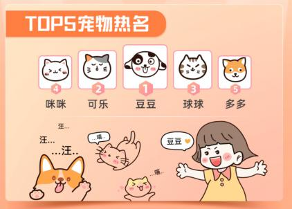 身份证查询系统带名字_姓名和身份证查询系统_查姓名身份证号码查询系统
