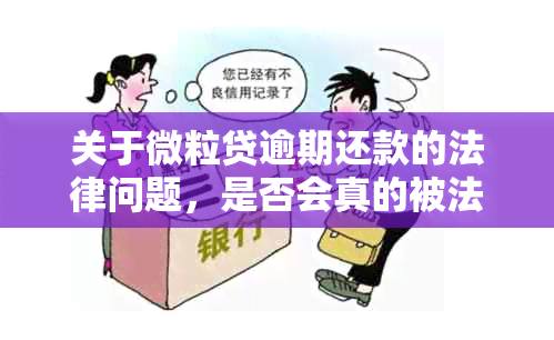 户籍联网全国信息怎么填_户籍信息全国联网_户籍联网全国信息查询系统