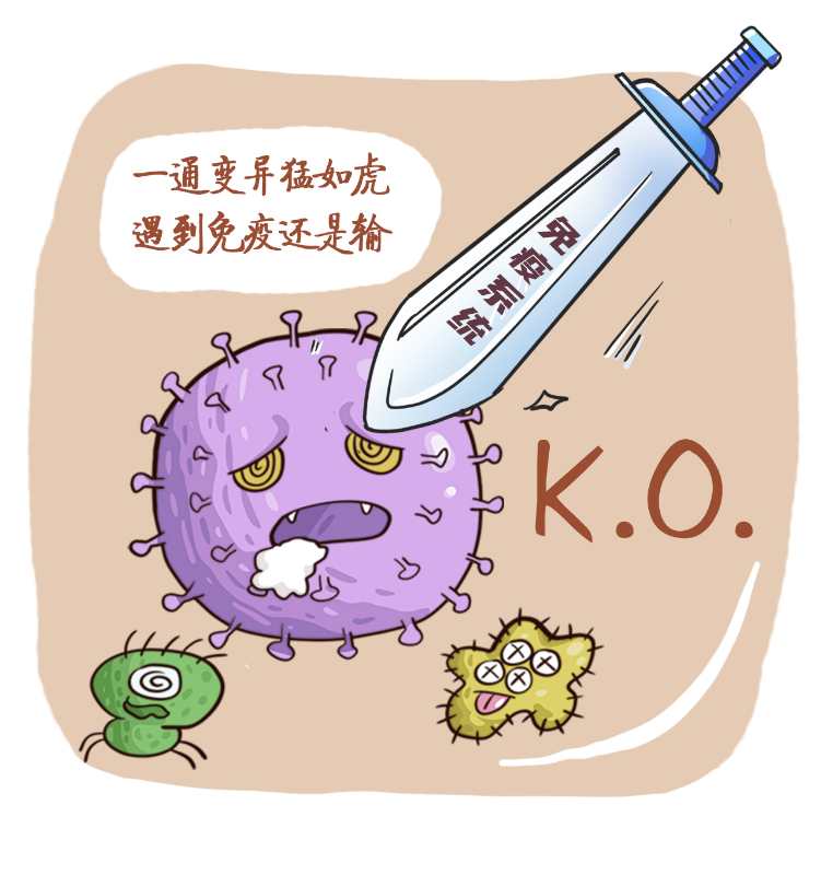 文件形病毒感染的对象_文件型病毒最主要感染_感染病毒的文件