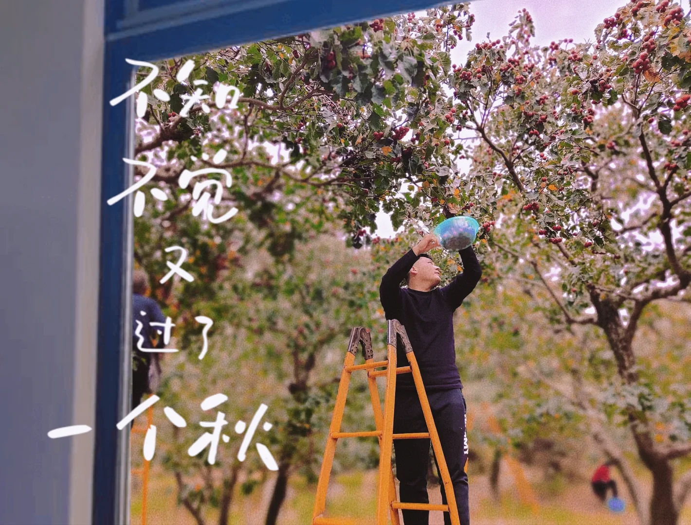 图书使用说明书_图书怎么使用_二羊图书软件说明书