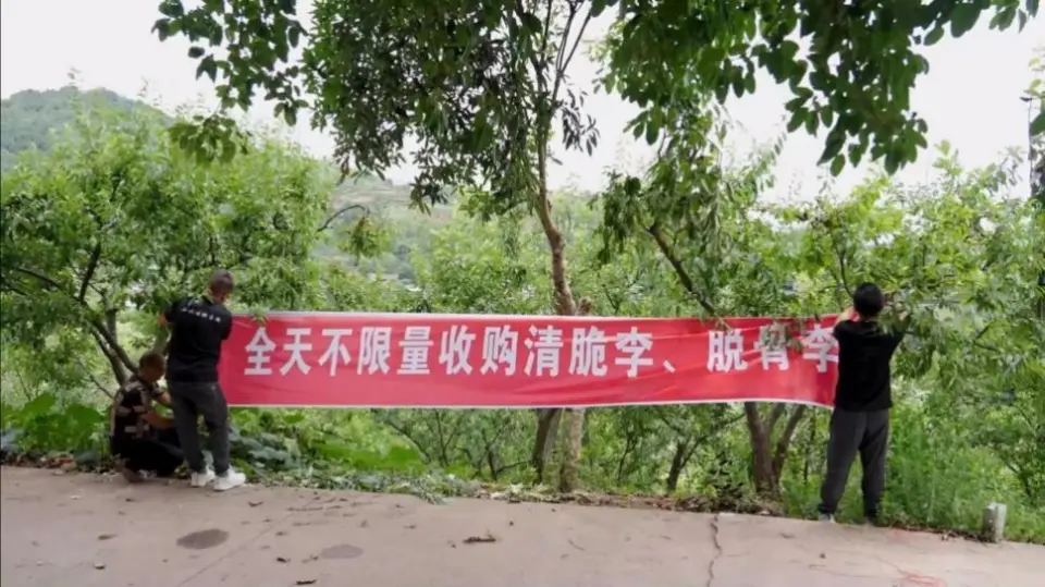 成品羊皮价格_成品羊皮价格多少_成品羊皮价格走势