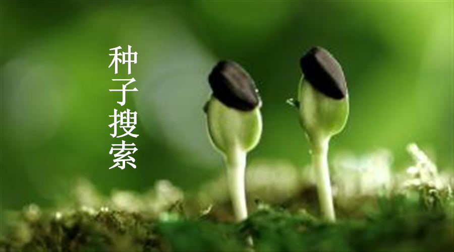 weather pro完全汉化版_weather中文安卓版_weathernow汉化版