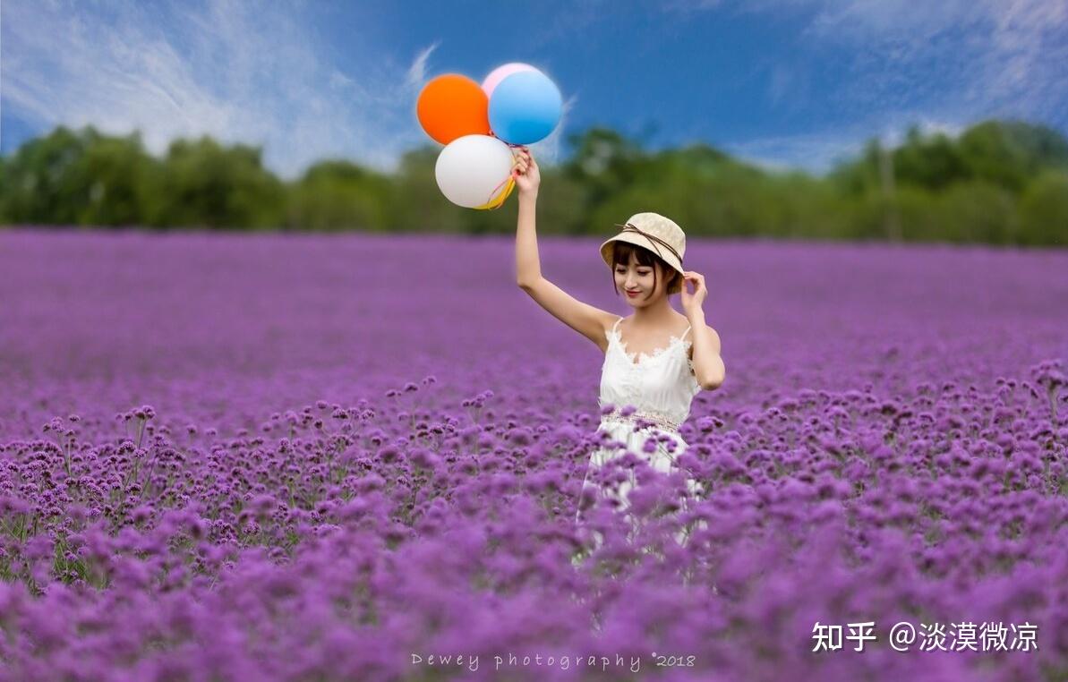 悸动五谷-探寻五谷之美：从田间到餐桌，感受生命的温暖与美好