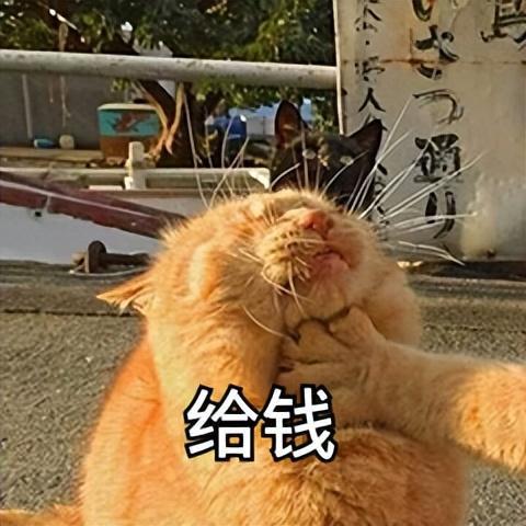 win10系统降级到win7系统-Win10 系统升级后让我又爱又恨，最终决定降级