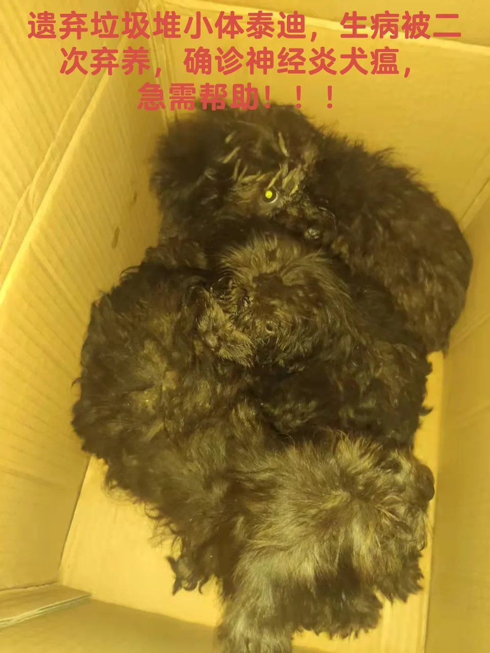 前胸后背疼恶心干呕_前胸后背疼恶心干呕_恶心后背疼前胸干呕什么原因