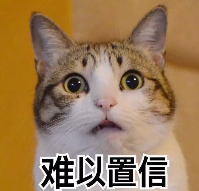 揭秘户籍信息系统：藏着无数家庭秘密的时光机