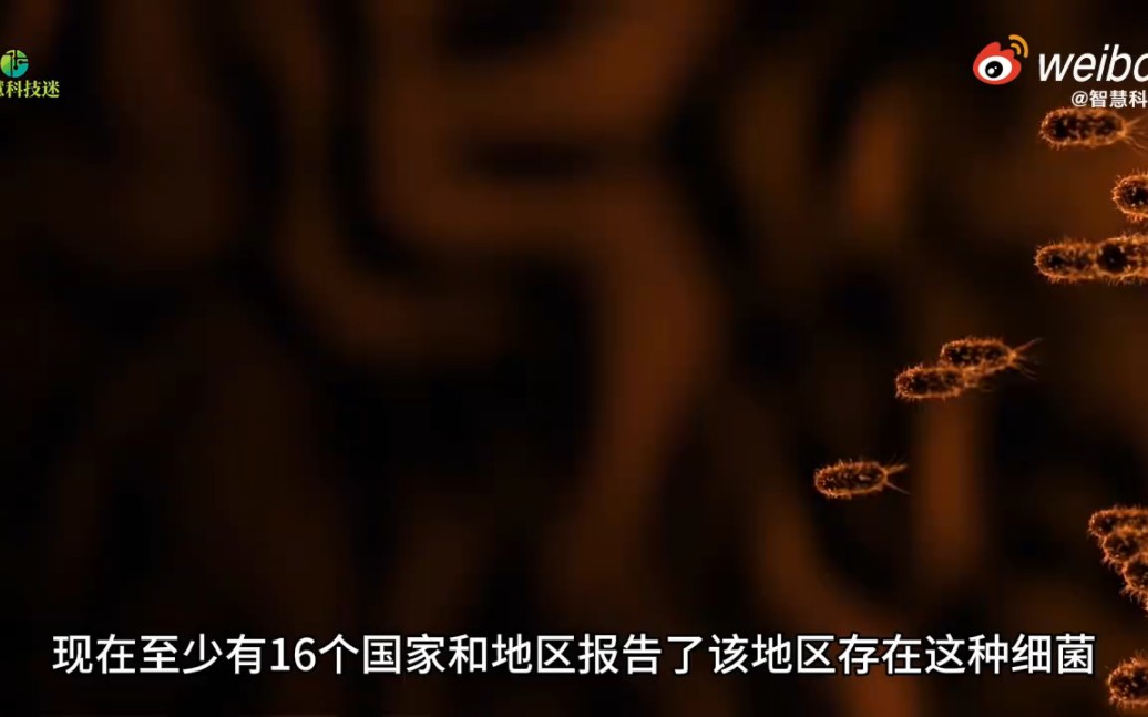 儿童早期肺炎吃什么药_早期肺炎治疗儿童用什么药_儿童早期肺炎治疗