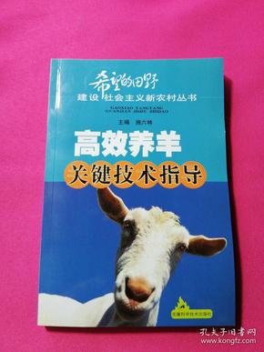 肉羊健康高效养殖的关键技巧，你掌握了吗？