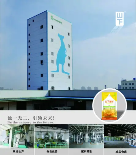 肉羊健康高效养殖_肉羊高效养殖技术书_养殖高效肉羊健康管理方案