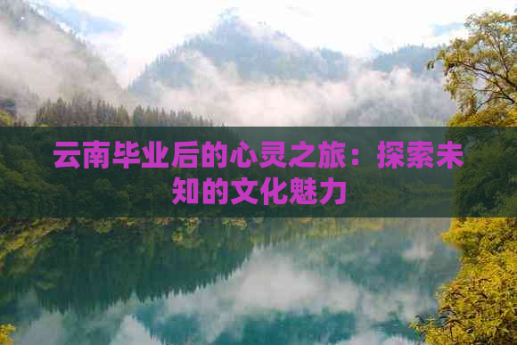 中国电信全球眼视频监控平台_中国电信全球眼下载_电信全球眼企业客户端