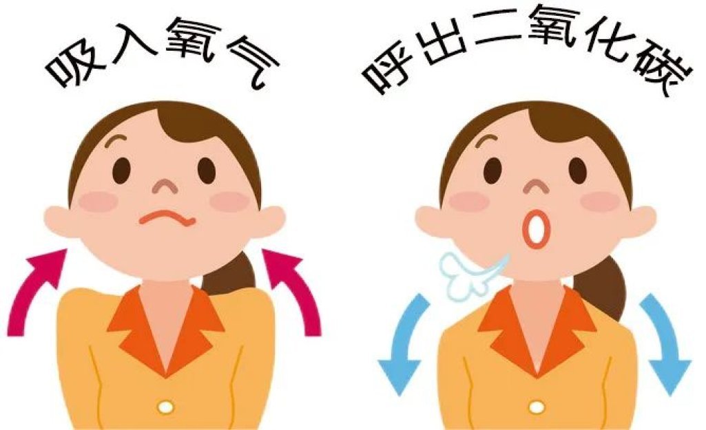 呼吸时后背疼怎么回事_后背疼呼吸也疼怎么回事_后背疼呼吸回事时后背也疼