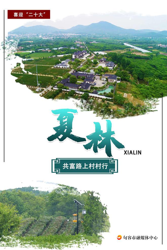 分销王源码：创业路上的金钥匙，打开无限可能的大门