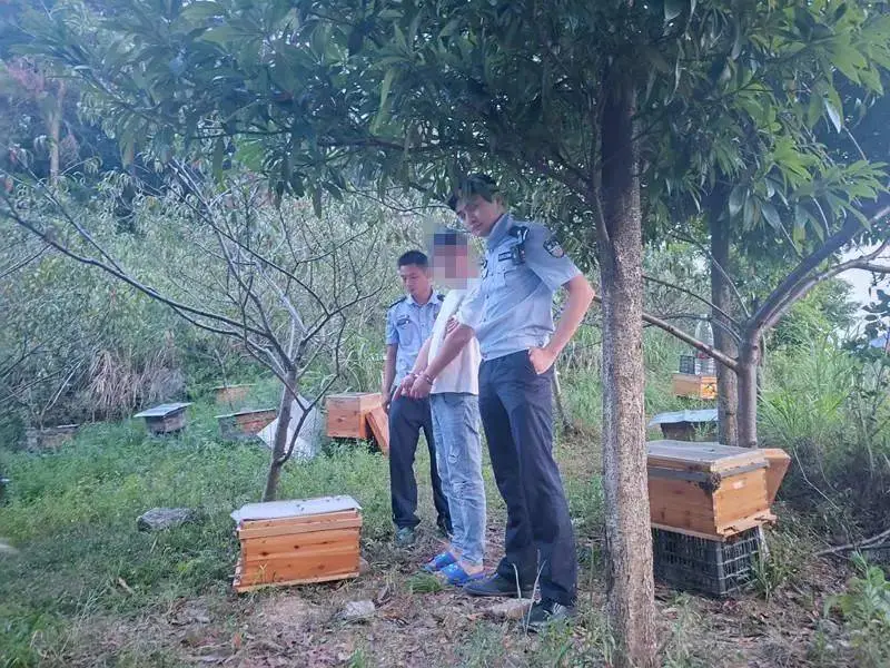 蜜蜂蛰了头痛怎么办_被地雷蜜蜂蛰后头疼怎么办_蜜蜂蛰了头部会立刻疼吗