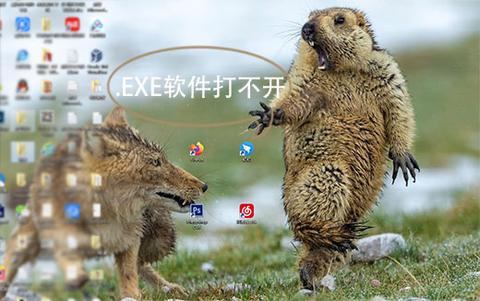 木马是不是病毒正确还是错误_cover.exe是什么木马_木马是什么检查