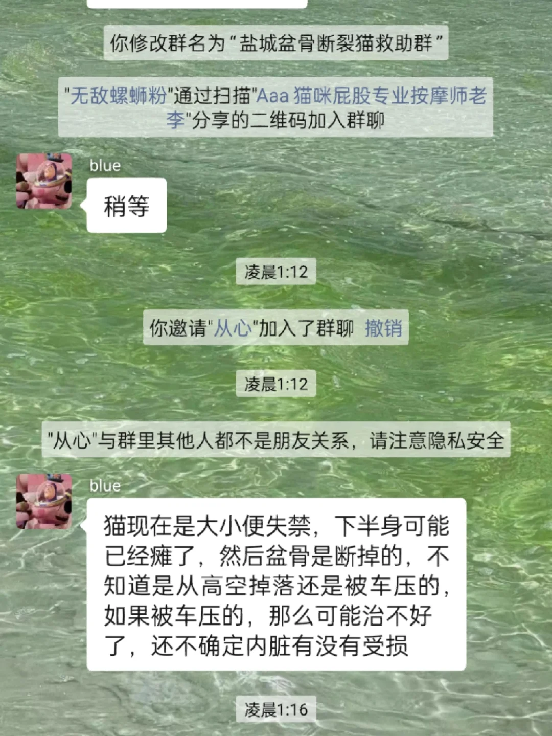 大便拉出鲜血_大便血拉出来_鲜血大便拉出血块