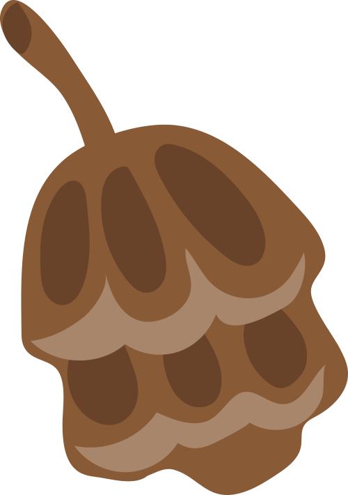 医院北京张耀光简历_医院北京张耀光简介_北京医院张耀光