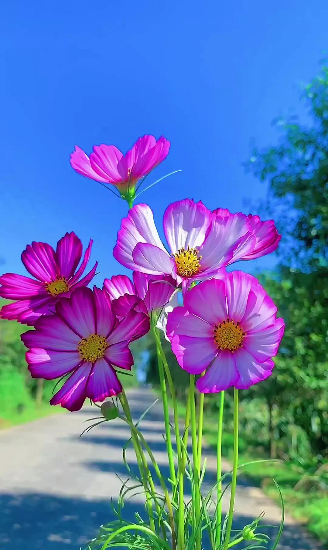 南磨房地区范围_南磨房属于哪个区_南磨房地区